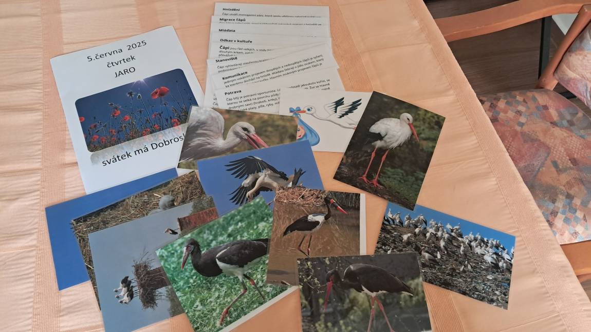 Smyslová aktivizace v červnu