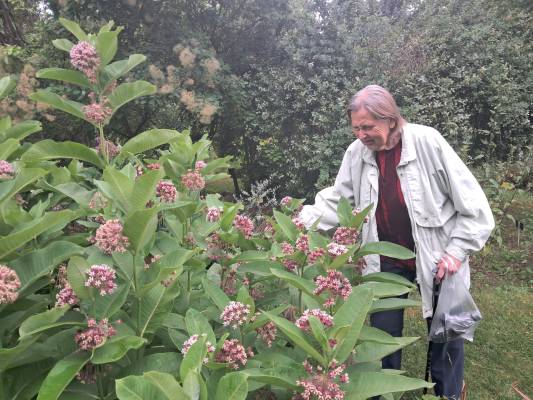 Výlet do botanické zahrady Tábor